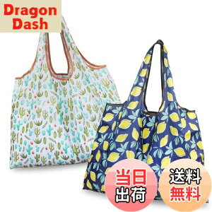 yz[GOKEI] GRobO y2 50×67cm eʁz ܂肽 obO RrjobO hf [ ≘ɂ y RpNg