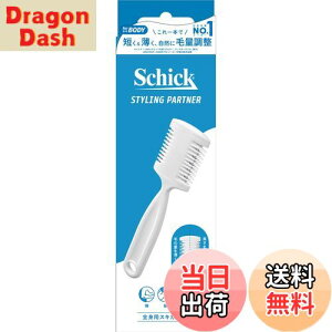 yzSchick(VbN) Sgp XLJ~\ Y wAg}[ zCg (1{)