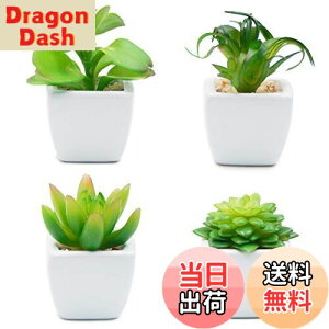 yzTOSSOW lHA ~j lHϗtA  ͂Ȃ CeA 4_Zbg ` v[g