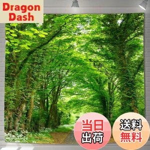 yzU-SITU ^yXg[ Ǌ| Ǐ ъԓH X  RiF IV wi @\ z|X^[ CeA ͋C]iTCYF180cm x 180cmjJ[FGT0794FC