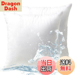 �y���������z�y ����zPhantoscope �N�b�V���� ���g 45×45cm 2�Z�b�g ����V���R���� �R�ۖh�L �􂦂� �_�炩�� �k�[�h�N�b�V���� �������H �h�� �{�����[���� ���O �z�e���d�l ��e���ǂ� ����