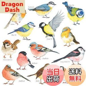 yzDECOWALL DS-8038  () EH[ XebJ[ fR ct ۈ牀 q DIY p Ǔ] V[ EH[A[g V[ j̎q ̎q 10 ǂ oX[ fR[V r