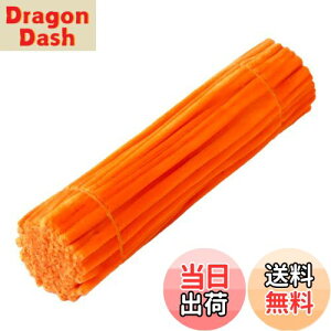 yzLeTradeJP |p[/H샂[ PF 30cm×6mm 100{ J[Lx Ntg[/i[ Ԍ`/t[C[ DIY萻 `f wZppi (IW)