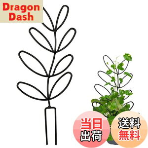 yzYUWENW |x Ax 1Zbg Ԃ Ԏx AT|[g ϗtA T|[g A|h~ Œ\ ėp\ AŒ A UT|[g 鐫Ap 