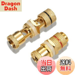 yzyoiivOp XXzby yWYVERN AUDIOz oiivO/pI v≏ X̃X WV-CHU-K 11 (21g)