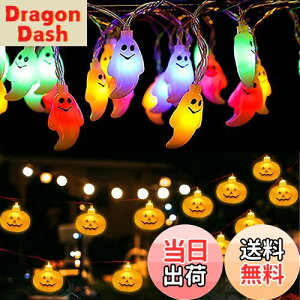 yzSVNVIOZ nEB  LED Cg 2_Zbg 40 J{` _p^[8 S3m Halloween ڂ Zbg C~l[V pvL dr Rt (J{