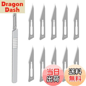 yzHƗpX nhX Yf|ޗ DIY ؍H NtgiCt u[h͌\ł AؒfA蒤AUȂǂ i 11p*1pcs+11n*10pcs j