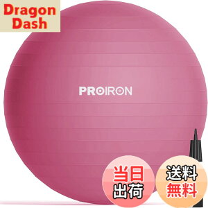 �y���������zPROIRON �o�����X�{�[�� 65cm ���b�h �n���h�|���v�t�� �^���s���̉���