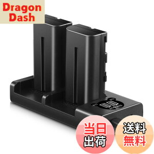 �y���������zENEGON Sony NP-F550/NP-F570�݊��o�b�e���[�i2�j2900mAh+USB�[�d�� �Ή�NP-F530/ NP-F550 /NP-F570/ NP-F330/ CCD-RV100/ RV200/ TR1 /TR940 /TR917 /CN-160 /CN-216 /CN-304 /YN 300 /V607u /V617u