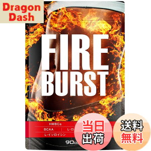 �y���������z�yFIRE BURST�z L-�J���j�`�� BCAA�z�� �T�v�� ���I�f�� 90����