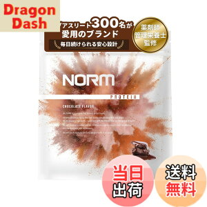 �y���������zNORM �m�[�� �z�G�C �v���e�C�� �l�H�Ö����s�g�p �`���R���[�g 1kg 300���ȏ�̃g�b�v�A�X���[�g���p WPC WHEY PROTEIN �z�G�C�v���e�C�� ��������