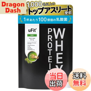 �y���������z�y���{���������zuFit Whey Protein �z�G�C�v���e�C�� WPC �S�t���[�o�[�l�H�Ö����s�g�p ���� 1kg �Â��T���� �n���₷�� �A���R���Ö��� �X�e�r�A �A���`�h�[�s���O�F�� �v���A�X��