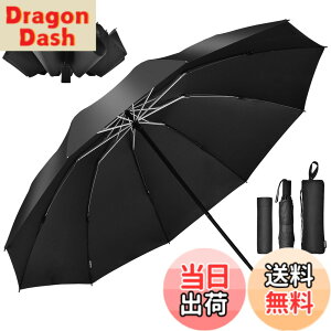 �y���������zTAIKUU �܂肽���ݎP �����Y �傫���T�C�Y �y122cm����x2�l�p�z �t�܂莮 10�{�� �蓮 ��v �ϕ� �����ɋ��� ������ �P�J�o�[�t�� ���J���p �t���P �܂��ݎP �r�b�O�T�C�Y �ʋ� ��
