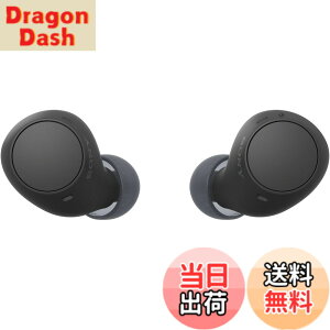 �y���������z�\�j�[(SONY) ���S���C�����X�C���z�� WF-C500/WF-C510 :/�����x�ʘb�i��/IPX4�h�H���\ �F�F�u���b�N�A�T�C�Y�F���^�y��