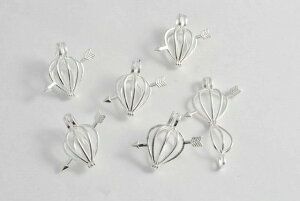 r[YNu `[  Pbg y_g  5Zbg 21mm sAX CO p[c