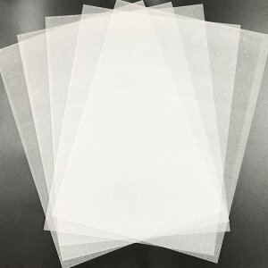v A4 5 0.3mm H Ntg p[c nhCh CXg }[J[ qǂ G` vo ANZT[ [ piG r[YNu
