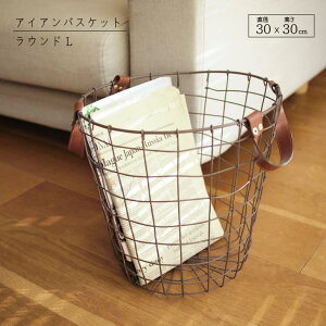 C[oXPbg ACA C[ oXPbg  JS [ 30cm t EhL v }eA a30 Vv  C_XgA rO[ Jo[ C