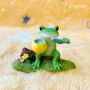 R|[ JG  R|[JG R|[V[Y ObY }XRbg R|[ JG copeau a MtgΉ 23SS u  v`Mtg h[vX JG D v[g