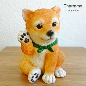  Ck  Č u ObY  }XRbg Aj} `[~[ AAj} }XRbg a v[g MtgΉ bsO ^b` dog 킢 A  v`Mtg