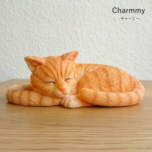 ˂ lR L ObY u }XRbg `[~[ AAj} }XRbg lR nR g a v[g MtgΉ bsO cat 킢 A 