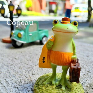 R|[ JG  G R|[JG R|[V[Y ObY }XRbg R|[ JG ͂炢 copeau a MtgΉ bsO K[f _CJC Mtg JG D v[