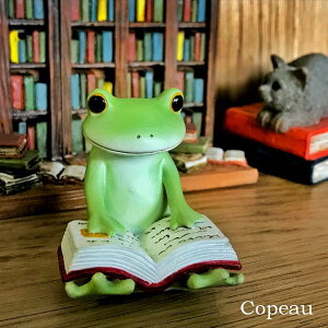 R|[ JG  G R|[JG R|[V[Y ObY }XRbg {ǂރJG copeau a MtgΉ bsO K[f _CJC Mtg JG D v[g