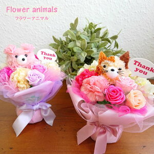 󂠂 t[Aj} TL[u[P {bNX N} lR tFCNt[  Mtg v[g 蕨 킢  }XRbg G u a v[g MtgΉ 