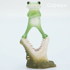 R|[ JG  G R|[V[Y ObY }XRbg j s` ̐▽ ~h copeau MtgΉ bsO u u _CJC v[g