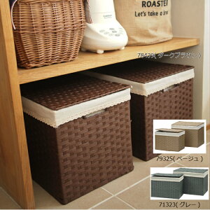 かご ふた 収納ボックス 収納ケース カラーボックス 通販 価格比較 価格 Com