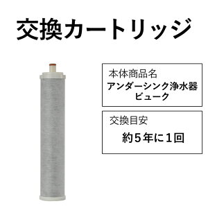 X r[N A_[VN 򐅊 p yJ[gbWz h[oN Vv̌