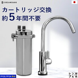 アンダーシンク 浄水器 カートリッジ 5年交換 専用水栓蛇口付 公式 ドリームバンク シンプルの研究 ビューク ビルトイン 浄水器