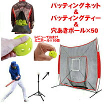 楽天市場】ソフトボール ネット（打撃練習用品｜野球・ソフトボール 