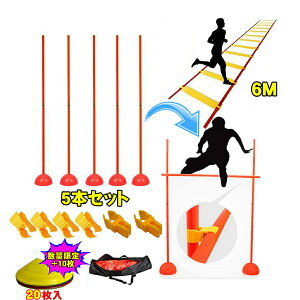 _[6m AWeB |[ x[X5g }[J[R[ 10Zbg g[jO_[ 6m g[jO|[ R[i[tbO|[   Z 싅  qǂ q oXP