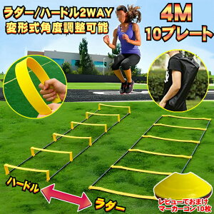 _[ g[jO n[h AWeB rq 400cm 2way TbJ[K Xs[h _[g ɂ oXPbg{[   Z cLO 싅 L[obOt