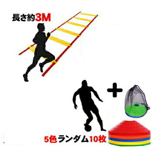 g[jO _[ 3m K Xs[h   Z cLO 싅 }[J[R[ \tg 10Zbg  qǂ q oXP