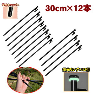 S X`[ yO 30cm 12{Zbg Lv eg Xe[N  ϋv egyO GnŒ 11.8C` eg ^[vp ŒB