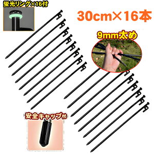 S X`[yO 30cm 16{Zbg Lv eg Xe[N  ϋv X`[egyO GnŒ 11.8C` eg ^[v ŒB