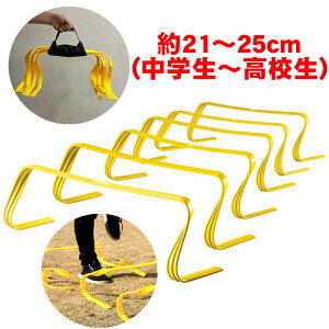 ソフト ミニハードル 6台セット 部活動練習 アジリティ サッカー練習 スピード 子供 大人 ジュニア 壊れにくい 卒業 陸上 競技 卒団記念 野球 バスケットボール リトミック