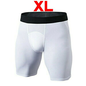 RvbV ^Cc Ci[pc Xpbc A_[EFA Y X|[c Ci[ jO }\ oXP TbJ[ X|[c St tBbglX 싅 ejX