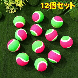 ストラックアウト 的 ゲーム 硬球 12個 お手玉 マジックナイン用ボール キャッチボール 野球 ピッチング 練習 バッティング 1人用 2人用 マジックボール ターゲット 子供 子ども 遊び ゲーム 投球練習 安全 キッズ 幼稚園 保育園 リトミック 幼児教室