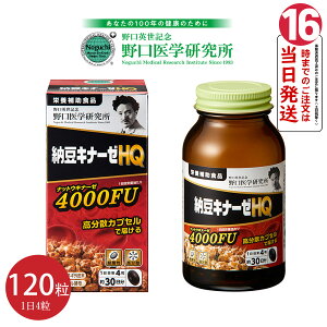 yX[p[SALE Pi10OFF zw [Li[[HQ 120 4000FU h{⏕Hi Zbg̔ P[X̔