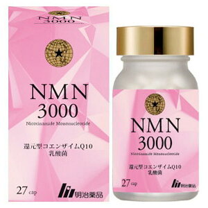 i NMN 3000 27