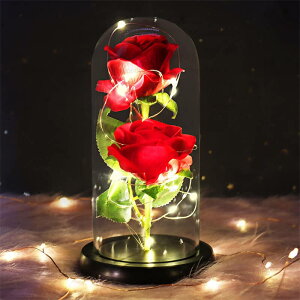 KXh[ KN ԃCg ͂Ȃ o t[Cg VNv[gԑ LEDCgdr t[Mtgo^Cf[ ̓ hV a LOv[g j