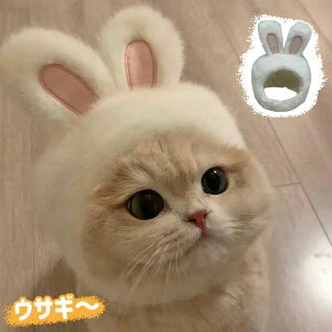 Xq L ^p nEB ETMXq ybgObY RXvߑ RX`[ ybg ʗp ˂p 낢  NX}X p[eB[ LOʐ^Be