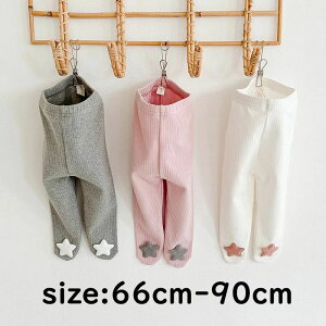 qXgbLO MX xr[ LbY {gX qpc qY{ qC xr[ q ̎q  t JWA ǂ   n IV 3F 66cm 73cm 80cm 90cm