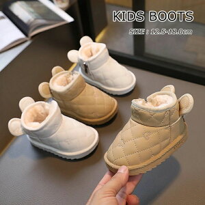 [gu[c V[gu[c xr[V[Y xr[C H~C ~ ̎q j̎q Ԃ xr[ g h JWA ʊw  w ۈ牀 ct ɂ qC L