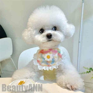 V ybgp|  L  `[J[ ANZT[  t [X ߂ ʐ^B蓹 LOtHg S[WX GKg  ybgpi v[g