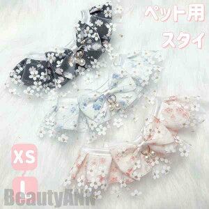 V ybgpX^C   L ^ L  `[J[ ANZT[  t [X ߂ ʐ^B蓹 LOtHg S[WX GKg ybg