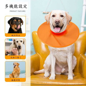 �������� ��^�� �G���U�x�X�J���[ �� �G���U�x�X�J���[�� �G���U�x�X�J���[�\�t�g �� �G���U�x�X�J���[ �_�炩�� ���p �r�ߖh�~ �C�k ���^�� ���E�N���A �^����Ȃ� �\�t�g �X�|���W �I�b