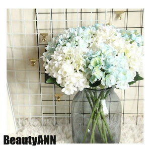 V \[vt[  CeA AW DIY ԑ u[P ֑   3{ JXj 䋟 ItBX a ԕr z  ސEj   ԑ ~ 